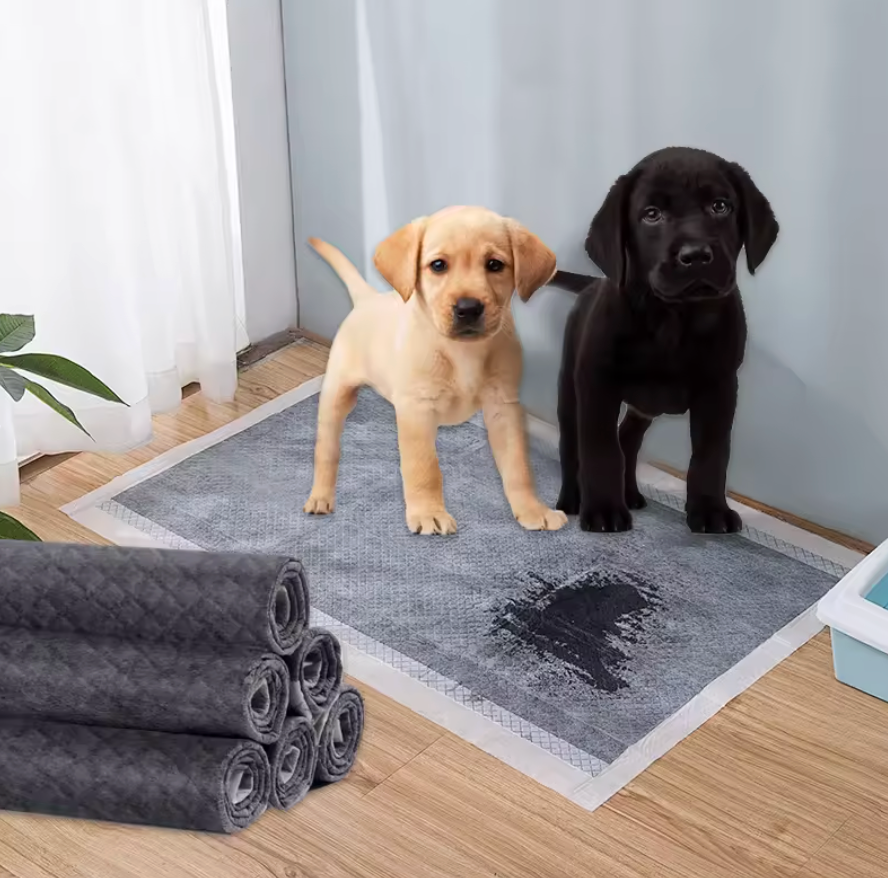 Disposable Pet Training Pad (Pack Of 100)