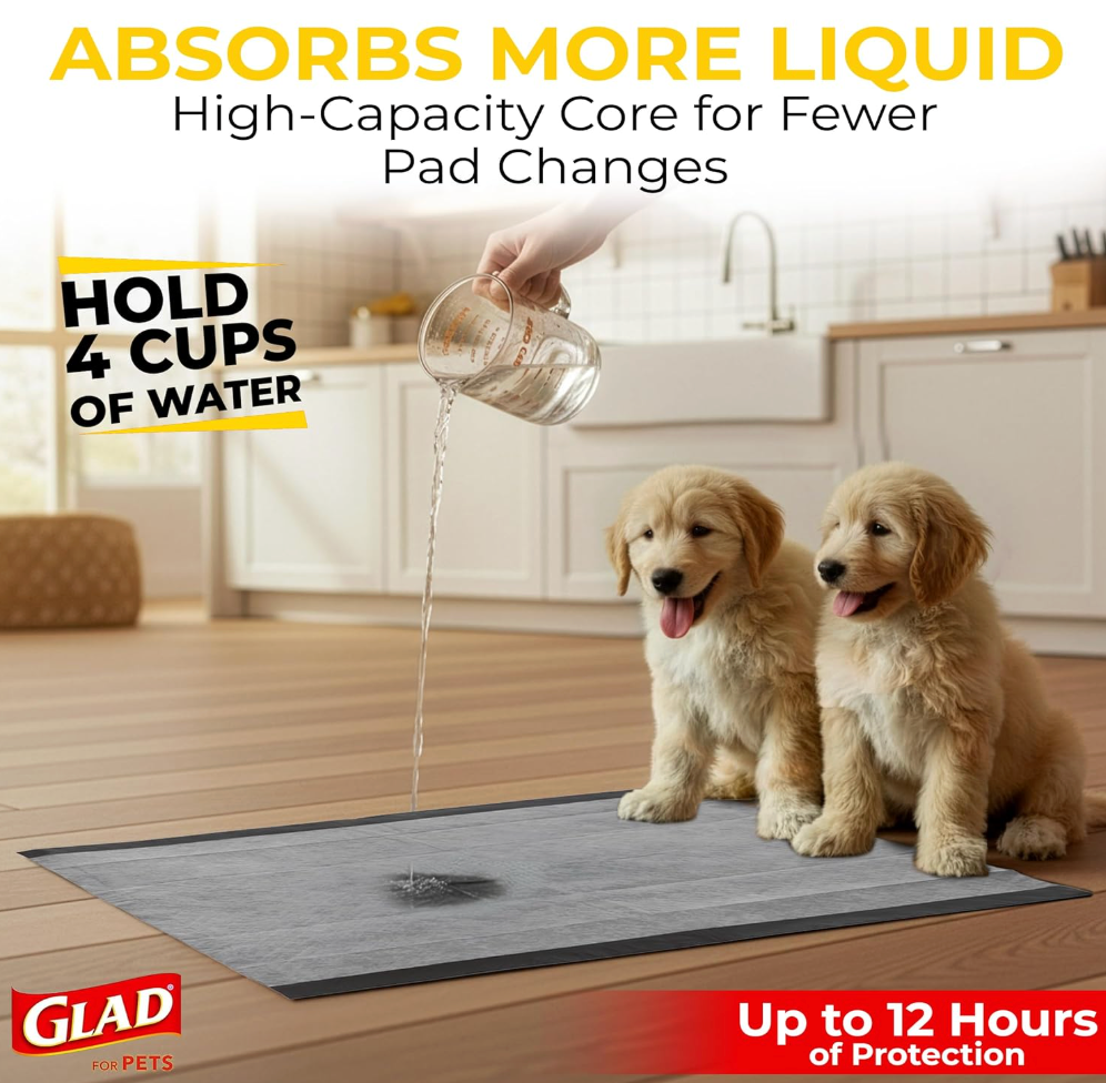 Disposable Pet Training Pad (Pack Of 100)