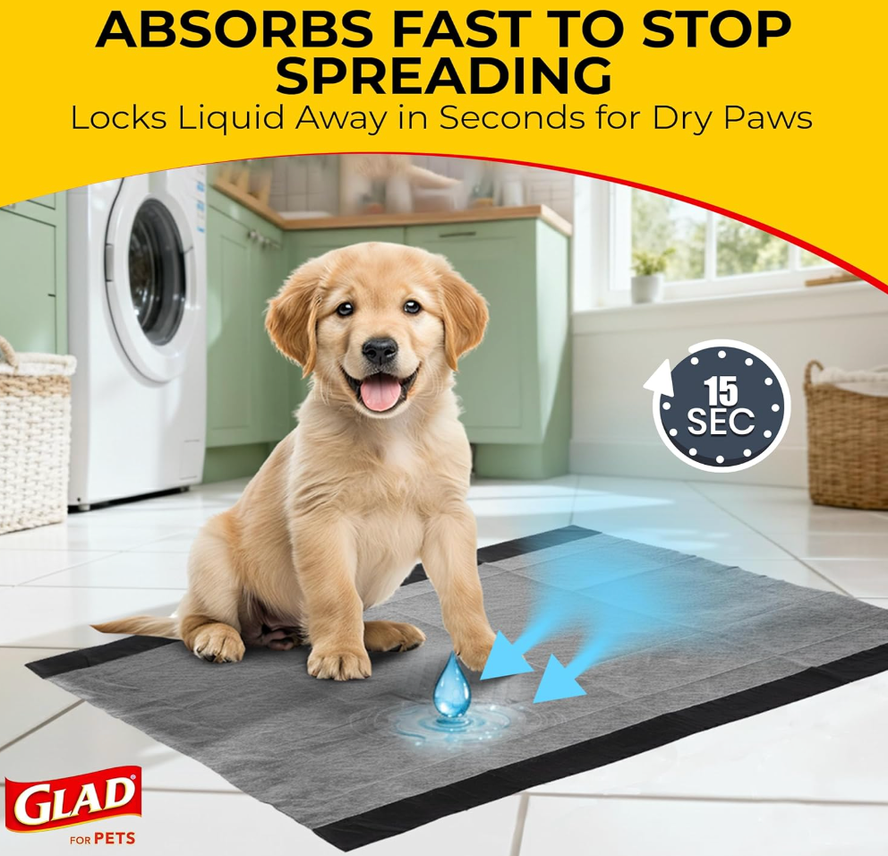 Disposable Pet Training Pad (Pack Of 100)