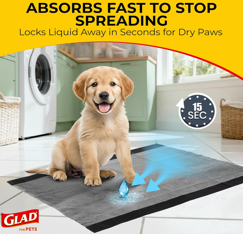 Disposable Pet Training Pad (Pack Of 100)