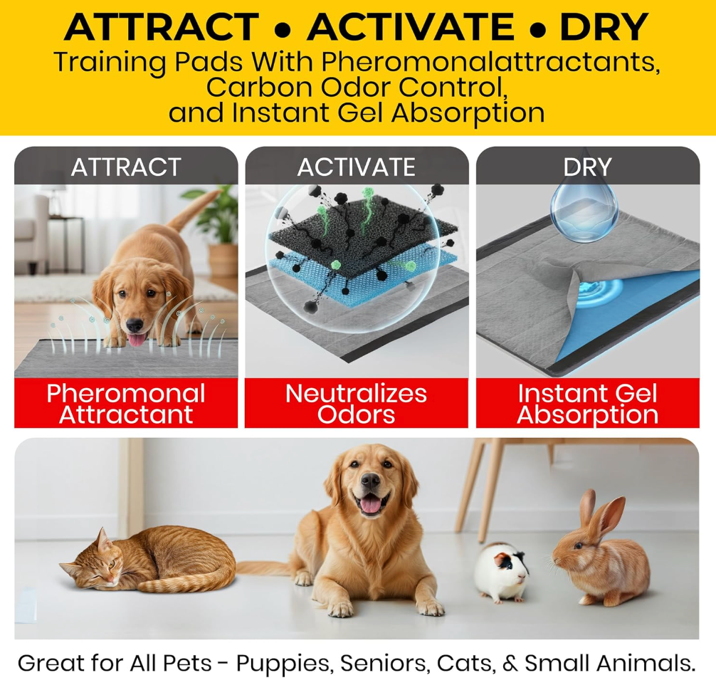 Disposable Pet Training Pad (Pack Of 100)