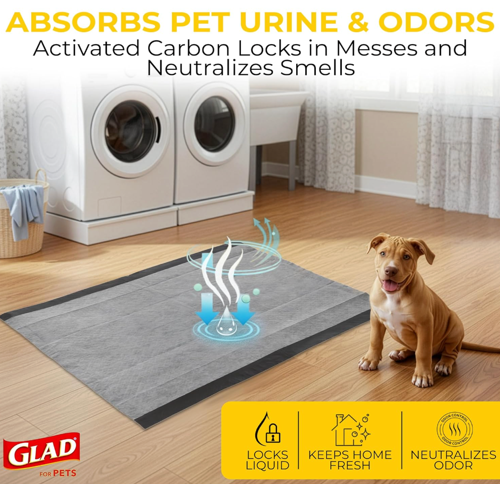 Disposable Pet Training Pad (Pack Of 100)