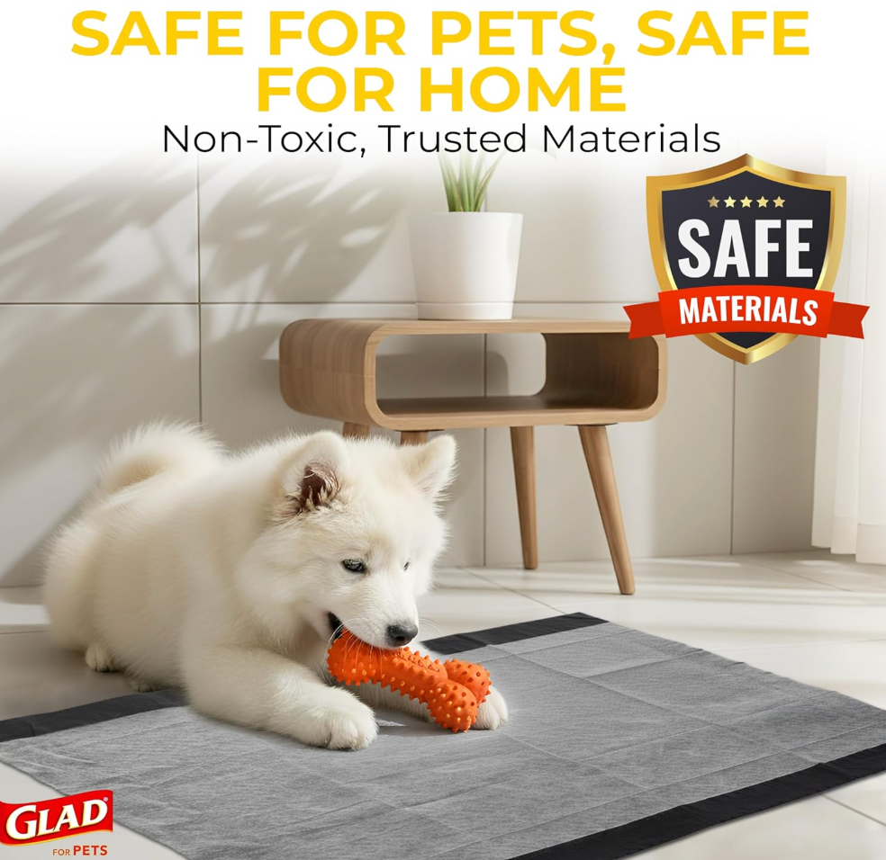 Disposable Pet Training Pad (Pack Of 100)